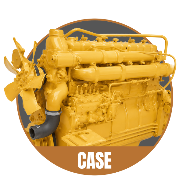 Case