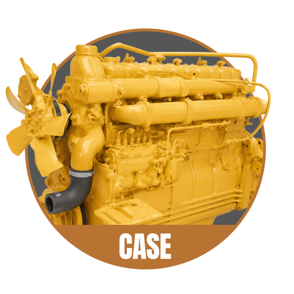 Case