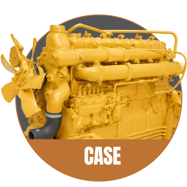 Case