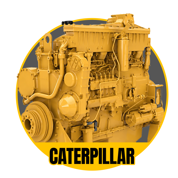Caterpillar