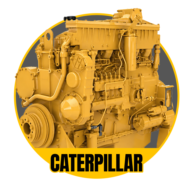 Caterpillar