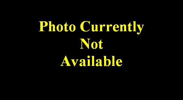 Cummins® CM 4B, 6B Piston - Kit New 3802487