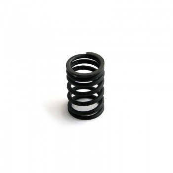 Valve Spring for Fiat 4798427