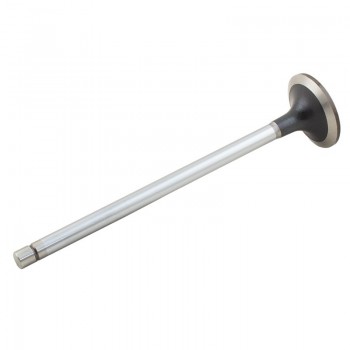 Intake Valve for Case 500355778