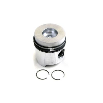Piston & Rings for Fiat 1930241