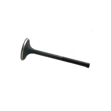 Intake Valve for Fiat 4695850