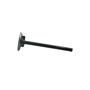 Intake Valve for Fiat 4802200