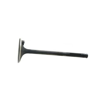 Intake Valve for Fiat 4821710