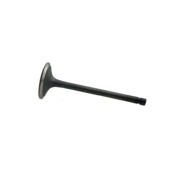 Intake Valve for Fiat 4824417