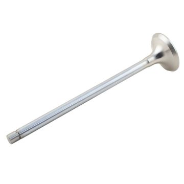 Exhaust Valve for Case 504293892