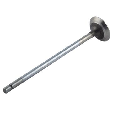 Exhaust Valve for Case 504368419