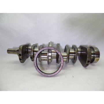 Ford / New Holland 304, BSD450 New Crankshaft, E9NN6303DB
