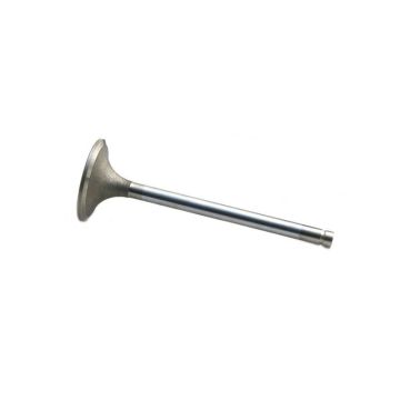 Intake Valve for International 1824642