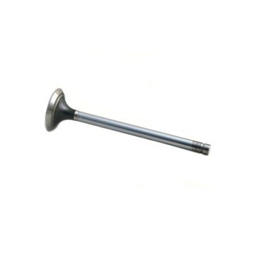 Exhaust Valve for International 1824842