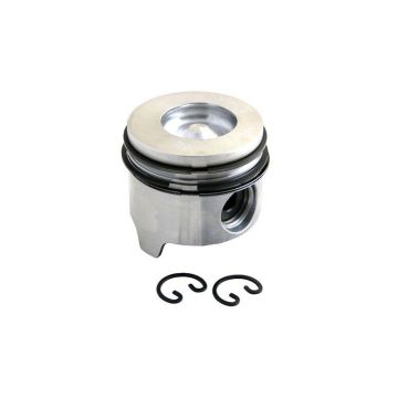 Piston & Rings for International FP1830953