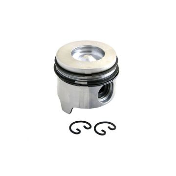 Piston & Rings for International 1830954F