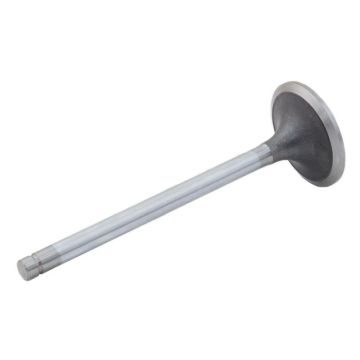 Intake Valve for International 1842913C1