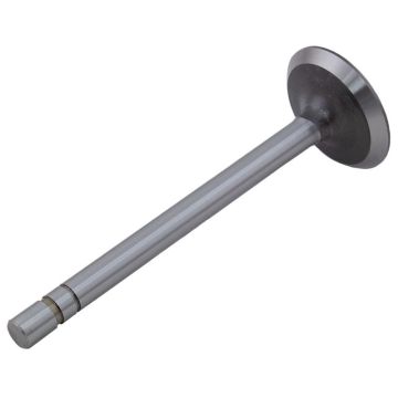 Intake Valve for Allis Chalmers 70209132