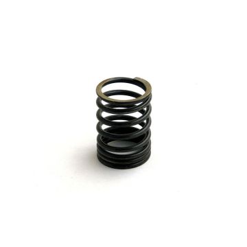Valve Spring for Allis Chalmers 70211038