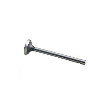 Exhaust Valve for Allis Chalmers 70228589
