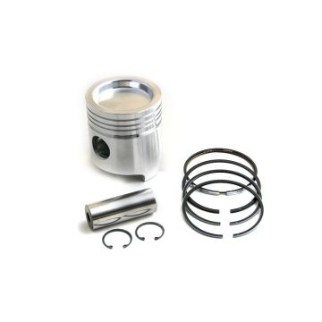 Piston & Rings for Allis Chalmers 71365375