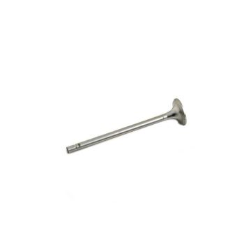 Exhaust Valve for Allis Chalmers 74359277