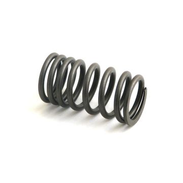 Valve Spring for Case A21076
