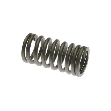 Intake & Exhaust Valve Spring for Case A21692