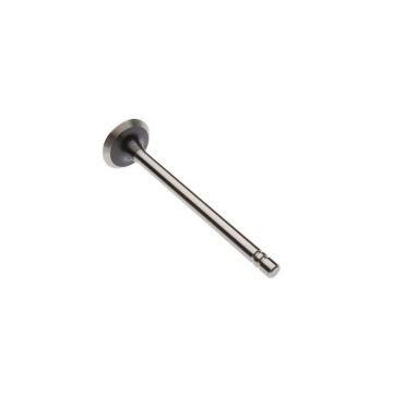 Exhaust Valve for Case A21703