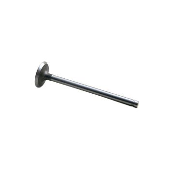 Intake Valve for Case A33455