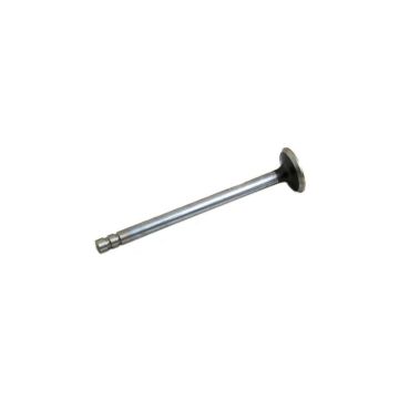 Exhaust Valve for Case A58876