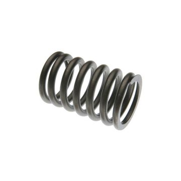 Intake & Exhaust Valve Spring for Case A66444