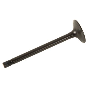 Intake Valve for Kubota 1C010-13110