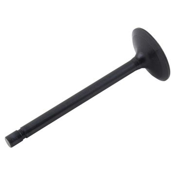 Intake Valve for Kubota 1C020-13110