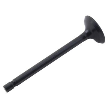 Exhaust Valve for Kubota 1C020-13120