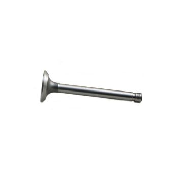 Intake Valve for International 251260R1