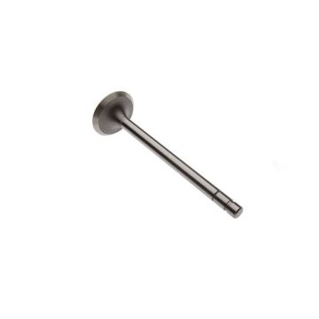 Intake Valve for International 3040361R1