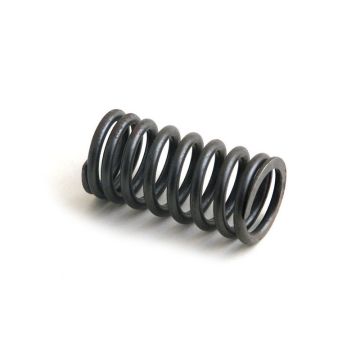 Valve Spring for International 3049608R1