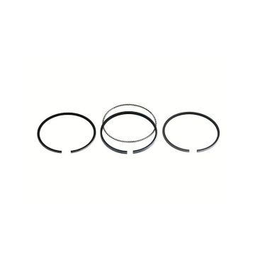 Piston Ring Set for Waukesha 3139594R91