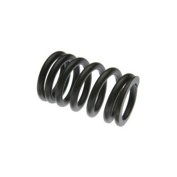Valve Spring for International 315744R1