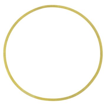 Cylinder Liner Shim for Case 3218540R1