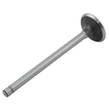 Intake Valve for International 323774R1