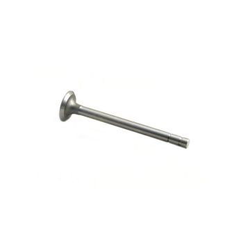 Exhaust Valve for International 351647R1
