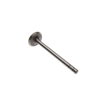 Intake Valve for International 351648R1