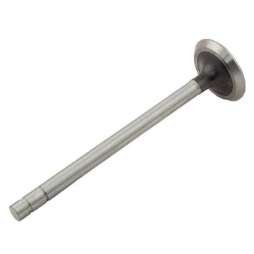 Exhaust Valve for International 362436R1