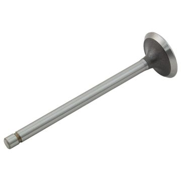 Intake Valve for International 362534R1
