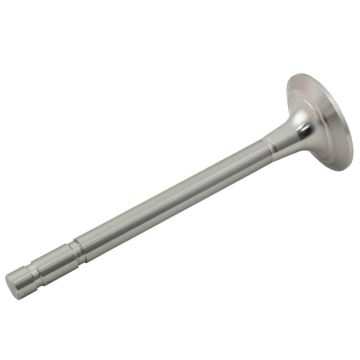 Exhaust Valve for International 372699R3