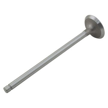 Intake Valve for International 46203DD