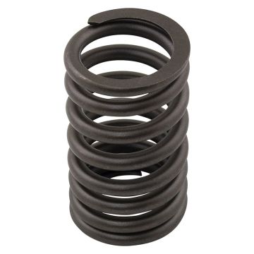Valve Spring for International 46205DA