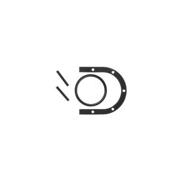 Rear Crankshaft Seal Set for International 538983